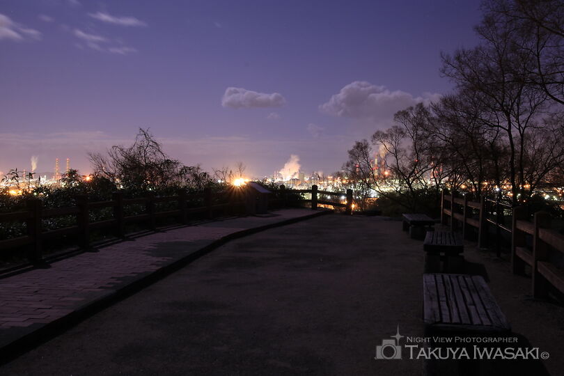 亀島山花と緑の丘公園 展望広場の工場夜景夜景スポット写真（5）