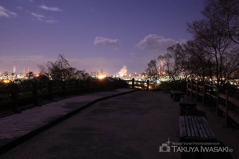 亀島山花と緑の丘公園 展望広場の工場夜景夜景スポット写真（5）class=